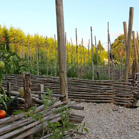 Bed & Breakfast Mas Des Figues - Mas Xviiie - Tres Calme - Certifie Biologique Frbio10- Piscine Roseraie - Cuisine Maison Brunch Paysan Mediterraneen Potager Huile D'Olive Bio - Agritourisme - Alpilles Saint Remy De Provence - Ouvert Du 01E Mai Au 30 Septembre - 4*