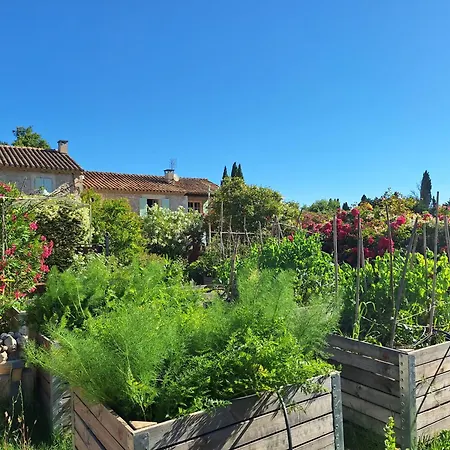 Mas Des Figues - Mas Xviiie - Tres Calme - Certifie Biologique Frbio10- Piscine Roseraie - Cuisine Maison Brunch Paysan Mediterraneen Potager Huile D'Olive Bio - Agritourisme - Alpilles Saint Remy De Provence - Ouvert Du 01E Mai Au 30 Septembre - Saint-Rémy-de-Provence