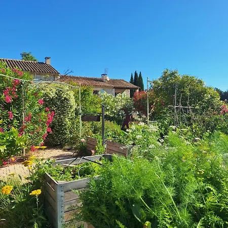 Mas Des Figues - Mas Xviiie - Tres Calme - Certifie Biologique Frbio10- Piscine Roseraie - Cuisine Maison Brunch Paysan Mediterraneen Potager Huile D'Olive Bio - Agritourisme - Alpilles Saint Remy De Provence - Ouvert Du 01E Mai Au 30 Septembre - Bed & Breakfast Saint-Rémy-de-Provence