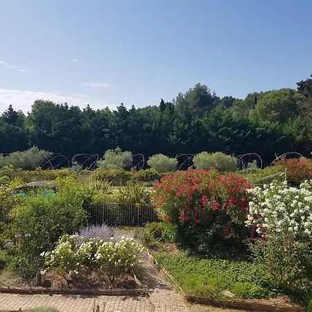 Mas Des Figues - Mas Xviiie - Tres Calme - Certifie Biologique Frbio10- Piscine Roseraie - Cuisine Maison Brunch Paysan Mediterraneen Potager Huile D'Olive Bio - Agritourisme - Alpilles Saint Remy De Provence - Ouvert Du 01E Mai Au 30 Septembre -