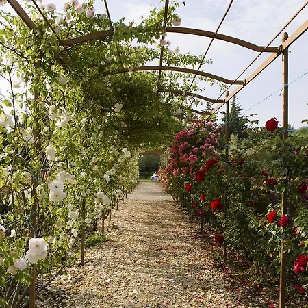 Mas Des Figues - Mas Xviiie - Tres Calme - Certifie Biologique Frbio10- Piscine Roseraie - Cuisine Maison Brunch Paysan Mediterraneen Potager Huile D'Olive Bio - Agritourisme - Alpilles Saint Remy De Provence - Ouvert Du 01E Mai Au 30 Septembre -