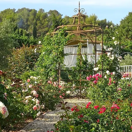 Mas Des Figues - Mas Xviiie - Tres Calme - Certifie Biologique Frbio10- Piscine Roseraie - Cuisine Maison Brunch Paysan Mediterraneen Potager Huile D'Olive Bio - Agritourisme - Alpilles Saint Remy De Provence - Ouvert Du 01E Mai Au 30 Septembre -