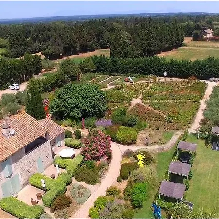 Mas Des Figues - Mas Xviiie - Tres Calme - Certifie Biologique Frbio10- Piscine Roseraie - Cuisine Maison Brunch Paysan Mediterraneen Potager Huile D'Olive Bio - Agritourisme - Alpilles Saint Remy De Provence - Ouvert Du 01E Mai Au 30 Septembre - Bed & Breakfast 4*