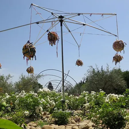Bed & Breakfast Mas Des Figues - Mas Xviiie - Tres Calme - Certifie Biologique Frbio10- Piscine Roseraie - Cuisine Maison Brunch Paysan Mediterraneen Potager Huile D'Olive Bio - Agritourisme - Alpilles Saint Remy De Provence - Ouvert Du 01E Mai Au 30 Septembre - 4*